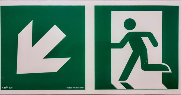 ZNAK Wyjście ewakuacyjne 15x30 AE103 świeci